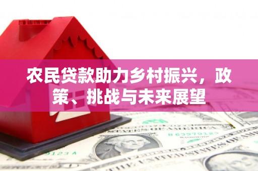 路环岛农民贷款助力乡村振兴，政策、挑战与未来展望