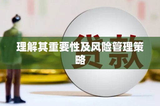 路环岛理解其重要性及风险管理策略