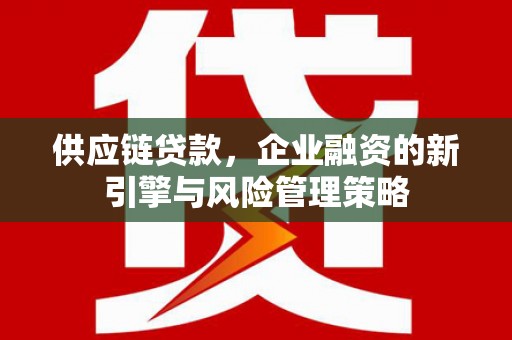 路环岛供应链贷款，企业融资的新引擎与风险管理策略