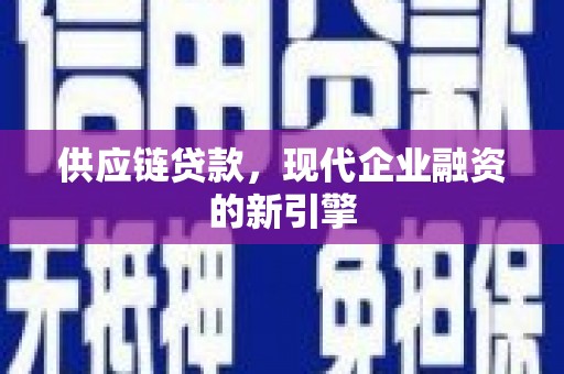 路环岛供应链贷款，现代企业融资的新引擎