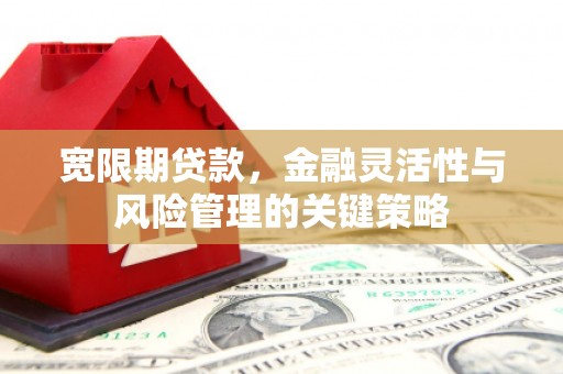 路环岛宽限期贷款，金融灵活性与风险管理的关键策略