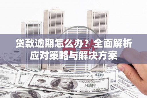 路环岛贷款逾期怎么办？全面解析应对策略与解决方案