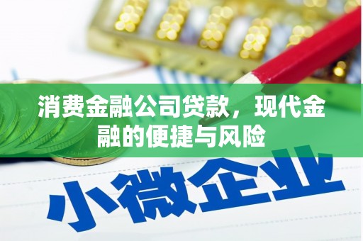 路环岛消费金融公司贷款，现代金融的便捷与风险