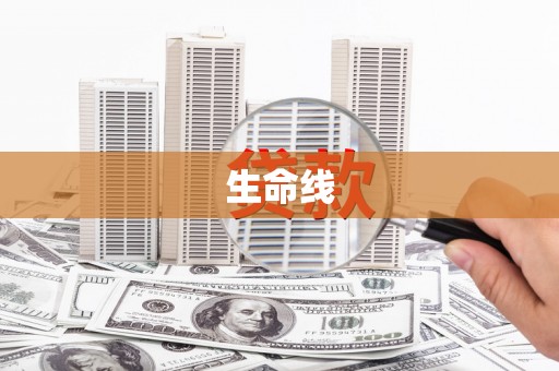 路环岛生命线