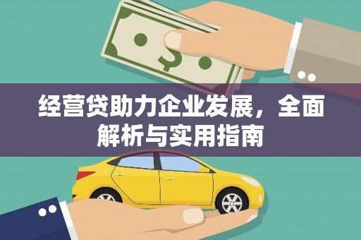 路环岛经营贷助力企业发展，全面解析与实用指南