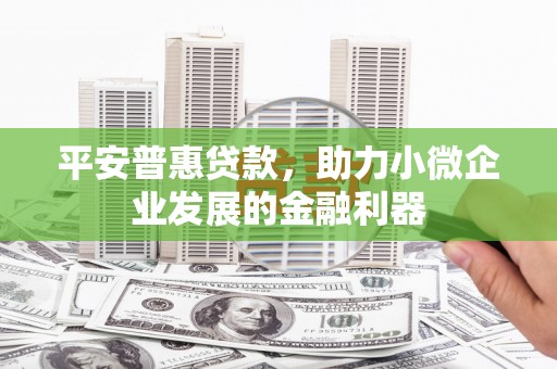 路环岛平安普惠贷款，助力小微企业发展的金融利器