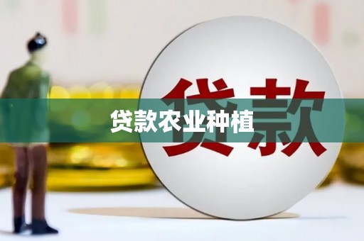路环岛贷款农业种植