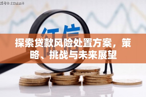 路环岛探索贷款风险处置方案，策略、挑战与未来展望