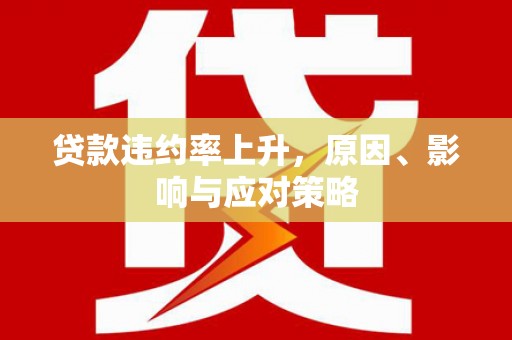 路环岛贷款违约率上升，原因、影响与应对策略