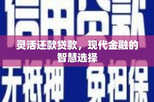 路环岛灵活还款贷款，现代金融的智慧选择