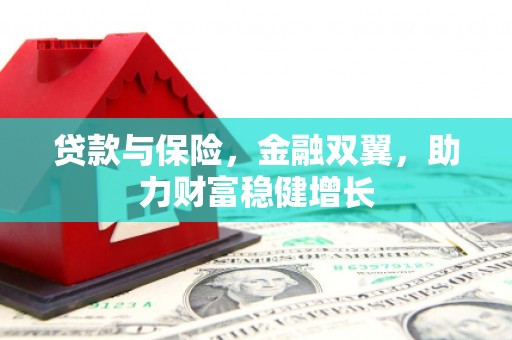 路环岛贷款与保险，金融双翼，助力财富稳健增长