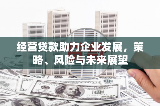路环岛经营贷款助力企业发展，策略、风险与未来展望