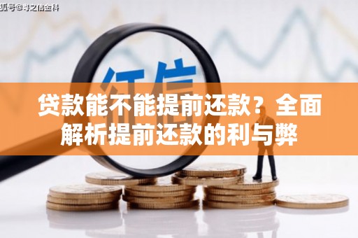 路环岛贷款能不能提前还款？全面解析提前还款的利与弊