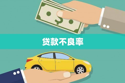 路环岛贷款不良率