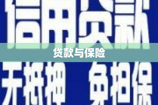 路环岛贷款与保险