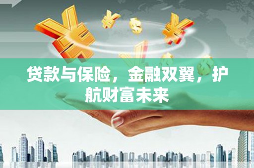 路环岛贷款与保险，金融双翼，护航财富未来