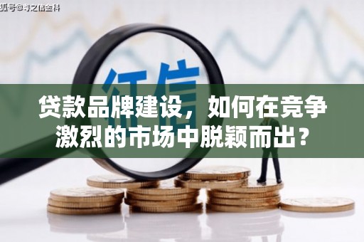 路环岛贷款品牌建设，如何在竞争激烈的市场中脱颖而出？