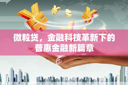 路环岛微粒贷，金融科技革新下的普惠金融新篇章