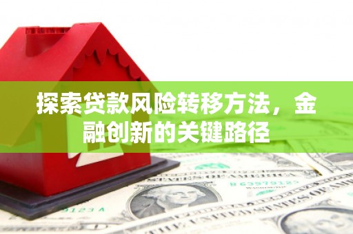 路环岛探索贷款风险转移方法，金融创新的关键路径