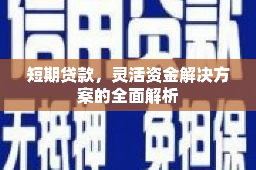 路环岛短期贷款，灵活资金解决方案的全面解析