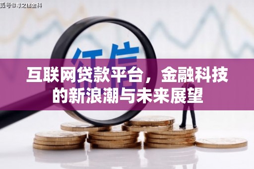 路环岛互联网贷款平台，金融科技的新浪潮与未来展望