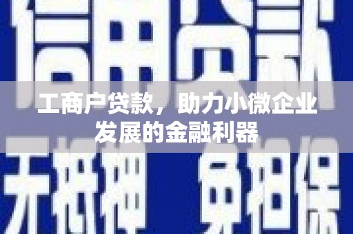 路环岛工商户贷款，助力小微企业发展的金融利器
