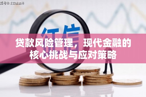 路环岛贷款风险管理，现代金融的核心挑战与应对策略