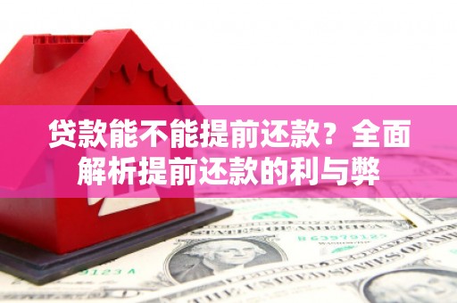 路环岛贷款能不能提前还款？全面解析提前还款的利与弊