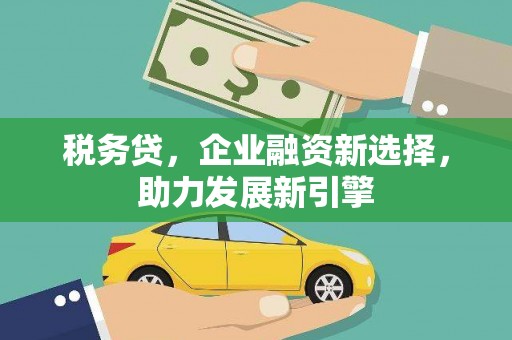路环岛税务贷，企业融资新选择，助力发展新引擎