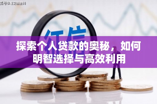 路环岛探索个人贷款的奥秘，如何明智选择与高效利用