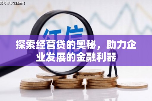 路环岛探索经营贷的奥秘，助力企业发展的金融利器