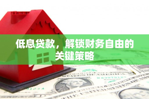 路环岛低息贷款，解锁财务自由的关键策略