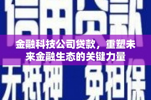 路环岛金融科技公司贷款，重塑未来金融生态的关键力量