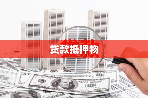 路环岛贷款抵押物