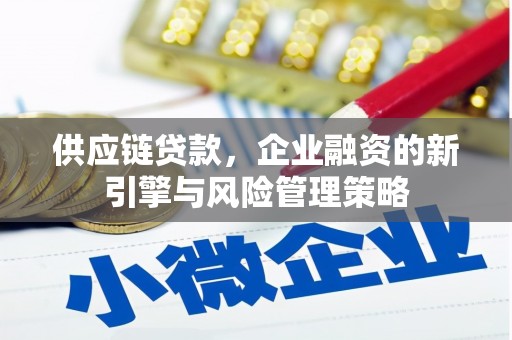 路环岛供应链贷款，企业融资的新引擎与风险管理策略