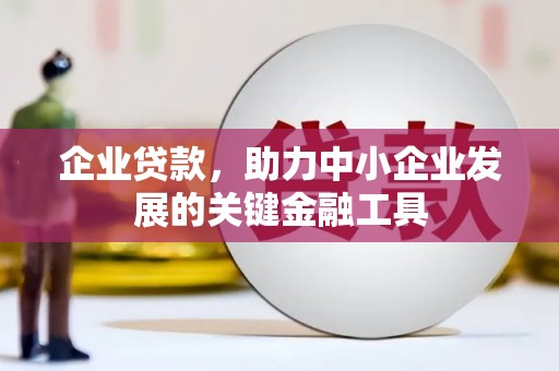 路环岛企业贷款，助力中小企业发展的关键金融工具