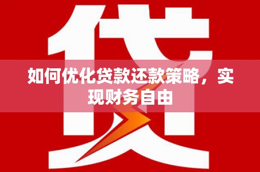 路环岛如何优化贷款还款策略，实现财务自由