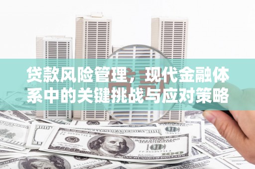 路环岛贷款风险管理，现代金融体系中的关键挑战与应对策略