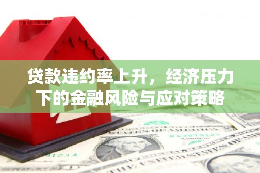 路环岛贷款违约率上升，经济压力下的金融风险与应对策略