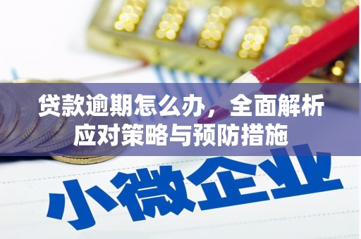 路环岛贷款逾期怎么办，全面解析应对策略与预防措施