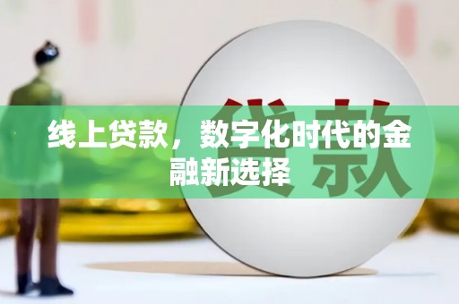 路环岛线上贷款，数字化时代的金融新选择