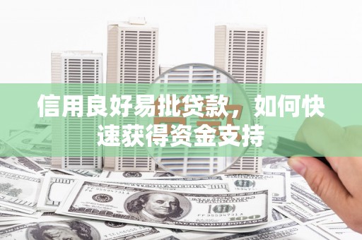 路环岛信用良好易批贷款，如何快速获得资金支持