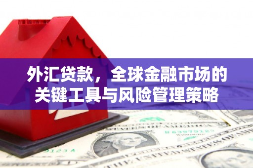 路环岛外汇贷款，全球金融市场的关键工具与风险管理策略