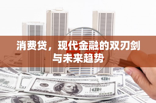 路环岛消费贷，现代金融的双刃剑与未来趋势