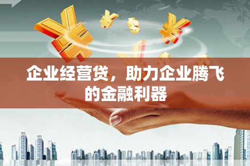 路环岛企业经营贷，助力企业腾飞的金融利器