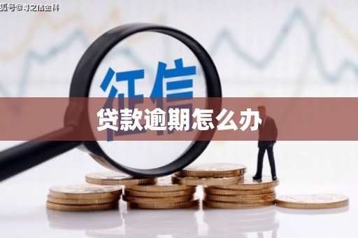 路环岛贷款逾期怎么办