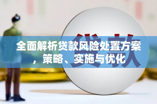 路环岛全面解析贷款风险处置方案，策略、实施与优化