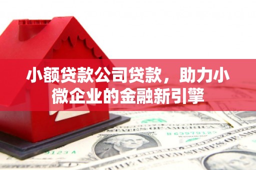 路环岛小额贷款公司贷款，助力小微企业的金融新引擎
