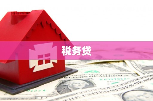 路环岛税务贷