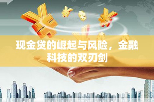 路环岛现金贷的崛起与风险，金融科技的双刃剑
